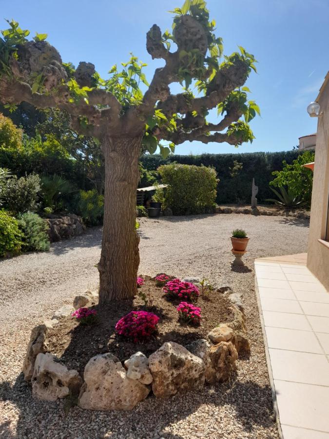 Gite Provencal Independant Avec Piscine Chauffee : Le Suy Bien Flayosc Kültér fotó